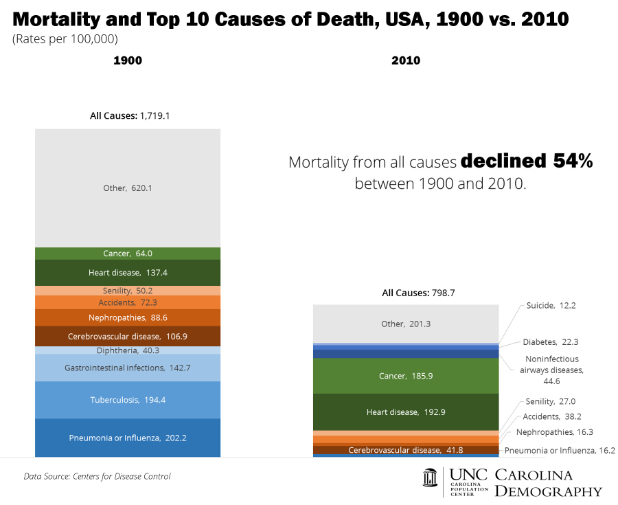 All Cause Mortality and Top 10_USA